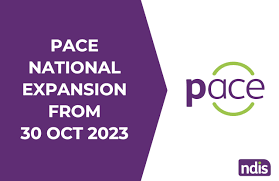 Read more about the article NDIS Pace System